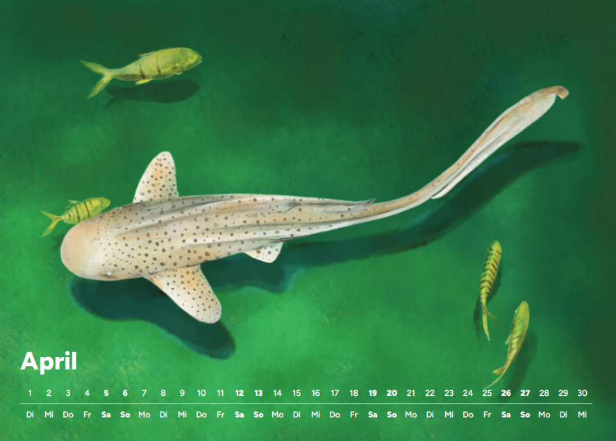 Kalender 2025