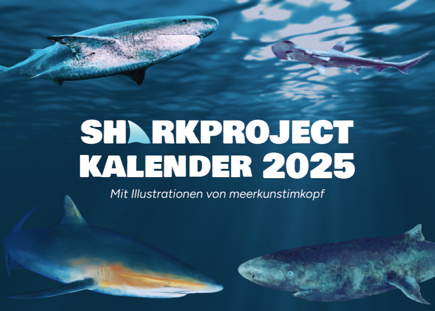 Kalender 2025