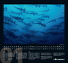 SHARKPROJECT Kalender 2023