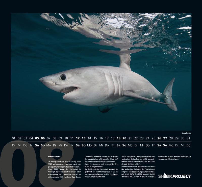 SHARKPROJECT Kalender 2023